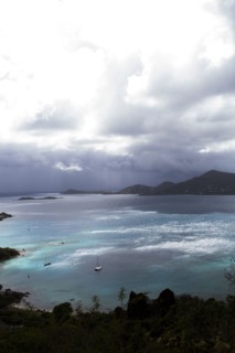 Aerial view of ocean and lush coastline