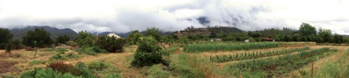 Panoramic view of farm fields in rural landscape