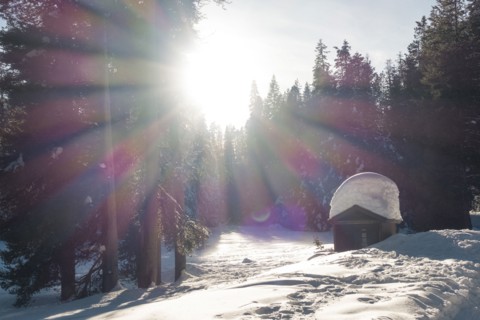 Sunbeams on snow covered house in forest