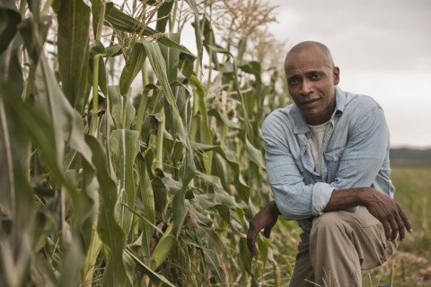 African American farmer tending crops