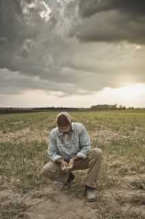 African American farmer checking dirt in field