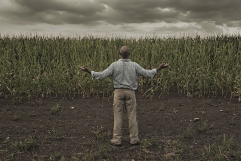 African American farmer standing in field with arms outstretched