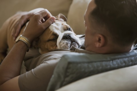 Black man petting English bulldog