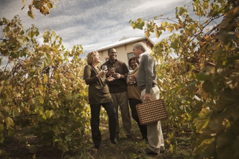 Friends drinking wine in vineyard