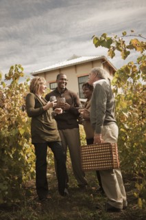Friends drinking wine in vineyard