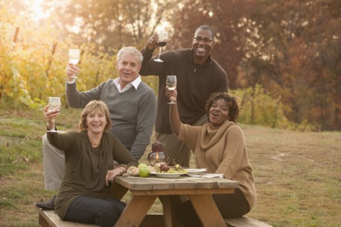 Friends having picnic and drinking wine