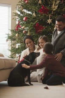 Family petting dog in living room on Christmas morning