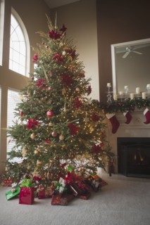 Christmas tree and decorations in living room