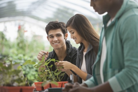 Students working in greenhouse