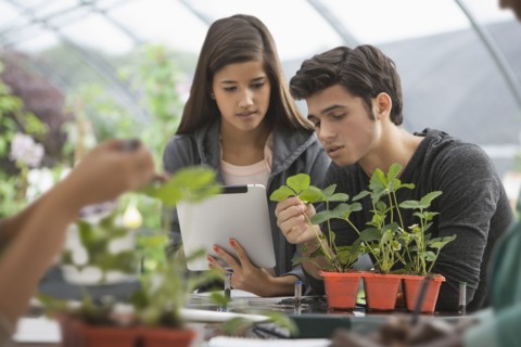 Students working in greenhouse