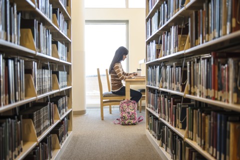 Student working at desk in library