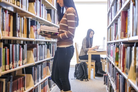 Students working in library