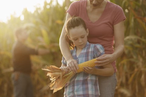 Caucasian mother and daughter examining ear of corn