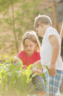 Children gardening in backyard