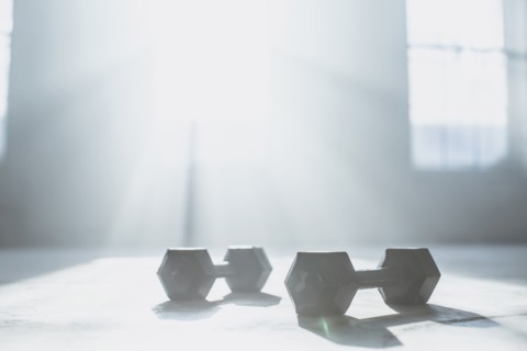 Dumbbell weights on floor in sunlight
