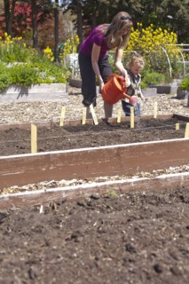 Caucasian mother and son watering plants in garden