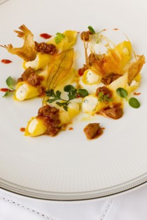Italian cheese cannelloni with sauce
