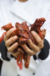 Chef holding handful of shellfish