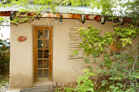 Foliage growing on house