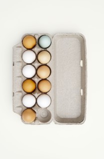 Colored eggs in egg carton