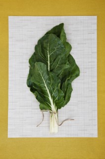 Green leaves on paper