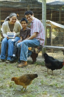 Multi-ethnic family holding bowl of eggs next to chickens