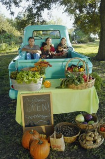 Multi-ethnic family in truck at farm stand