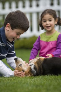 Brother and sister playing with dog in backyard