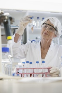 Senior Caucasian scientist examining samples in lab