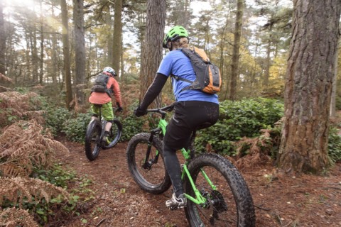 Caucasian couple riding bicycles in forest
