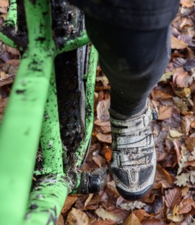 Leg of Caucasian woman riding bicycle in autumn leaves