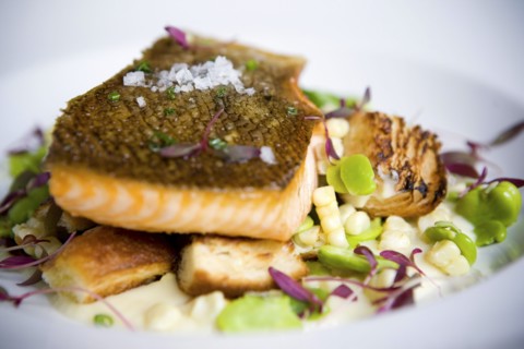 Close up of salmon entree on plate