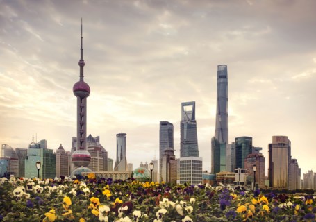Shanghai city skyline over field of flowers
