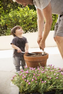 Father and son preparing potted plant