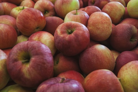 Pile of fresh apples