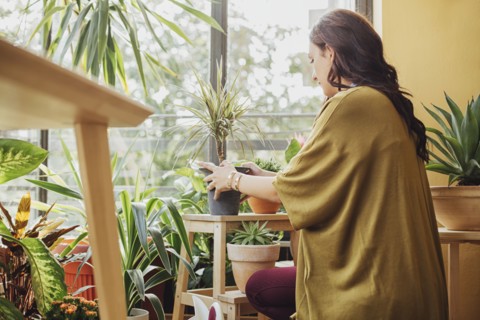 Caucasian woman holding potted plant