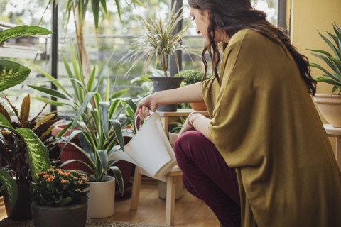 Caucasian woman watering potted plants