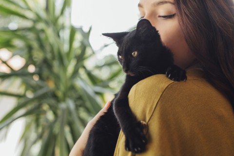 Caucasian woman holding kitten