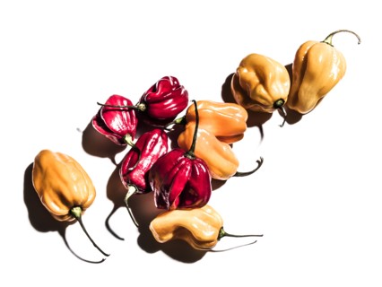 Variety of peppers