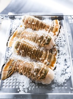 Lobster tails on ice