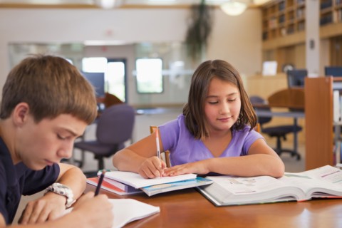 Students studying in library