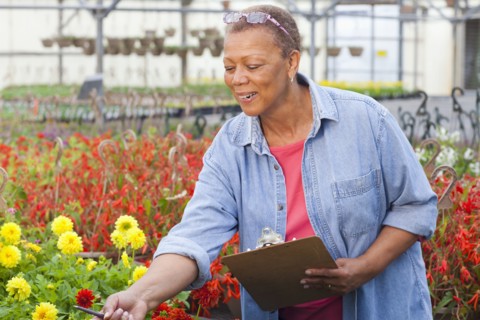 Mixed race woman working in plant nursery