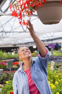 Mixed race woman tending plants in nursery