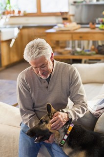 Hispanic man petting dog in living room