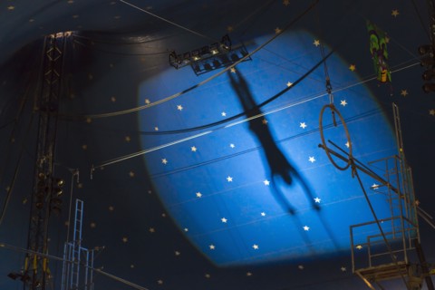 Shadow of acrobat in spotlight on wall