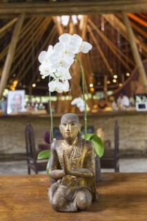 Hindu statue and orchid