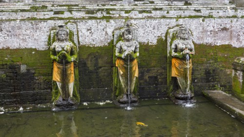 Moss growing over Hindu statues