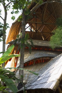 Bamboo treehouse