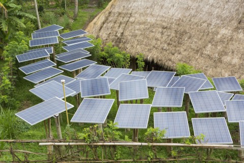 Solar panels in tropical garden