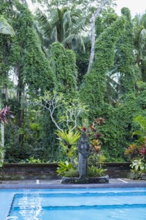 Plants and statue by swimming pool